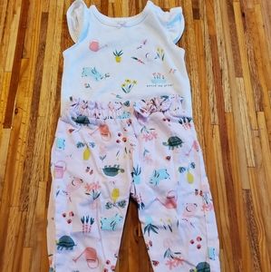 Carter's Ruffle Sleeve Outfit